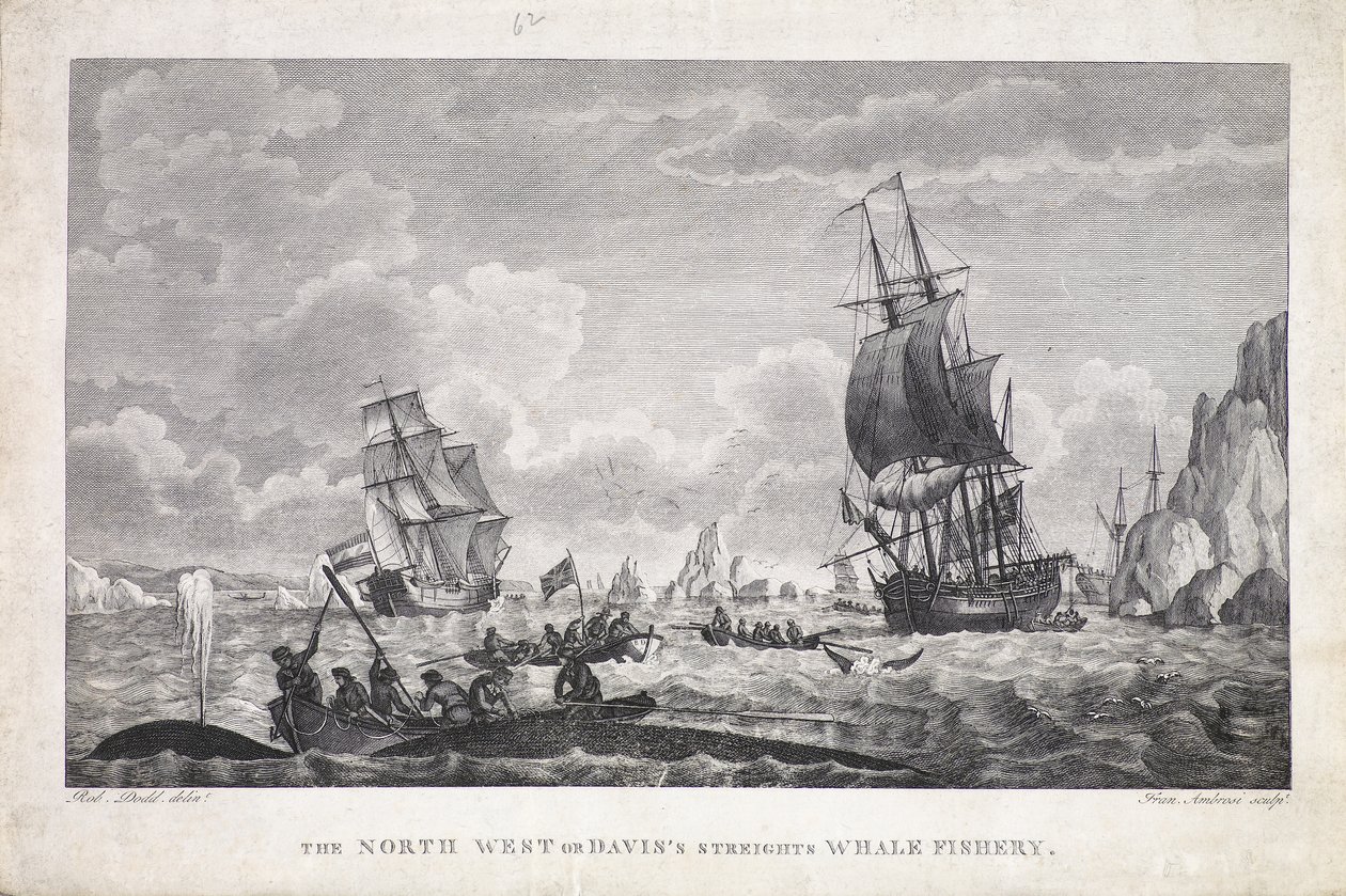 A pesca da baleia no Noroeste ou nas correntes de Davis (impressão) de Robert (after) Dodd