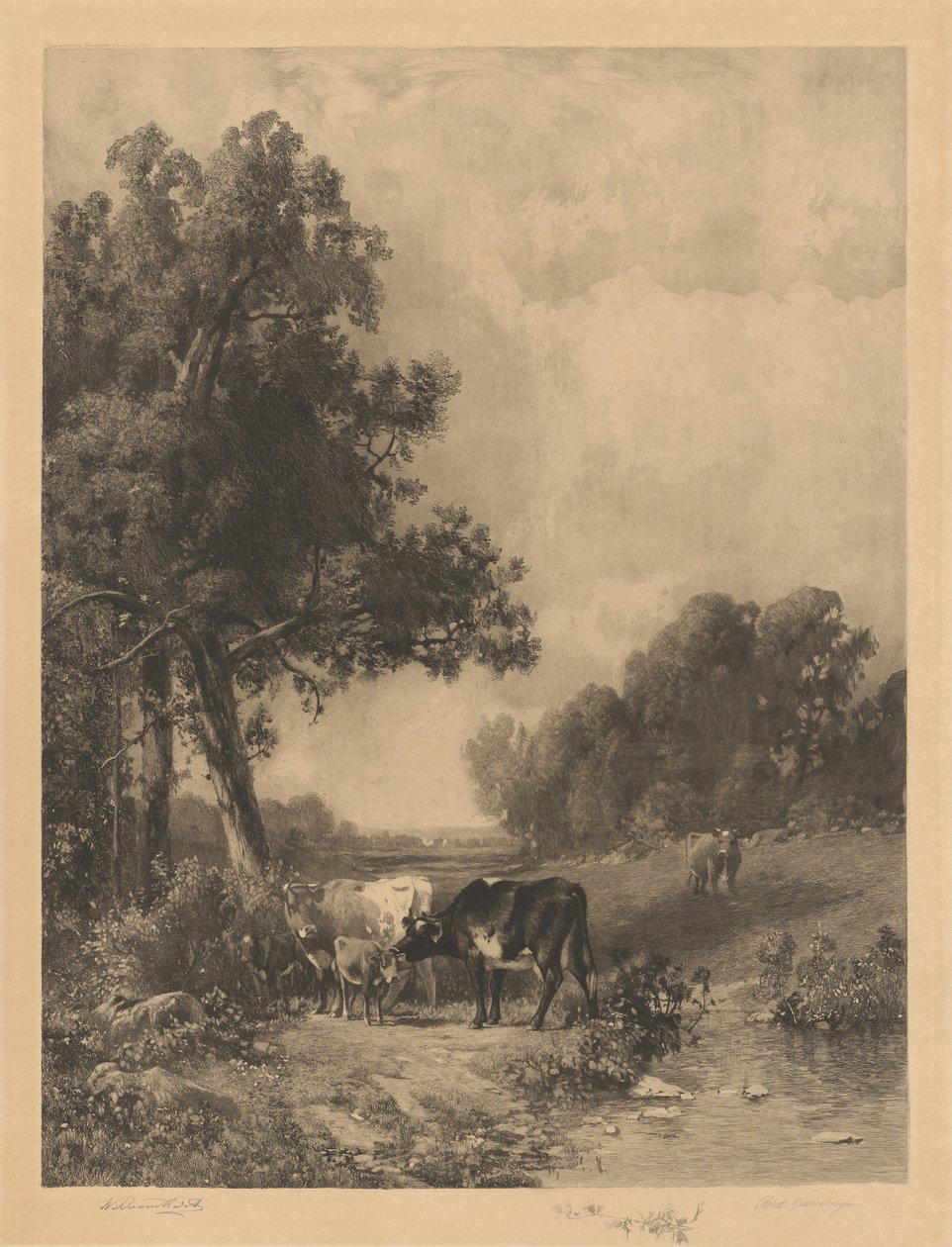 Sem título (Vacas e bezerros à beira de um riacho) de Robert A. Eichelberger