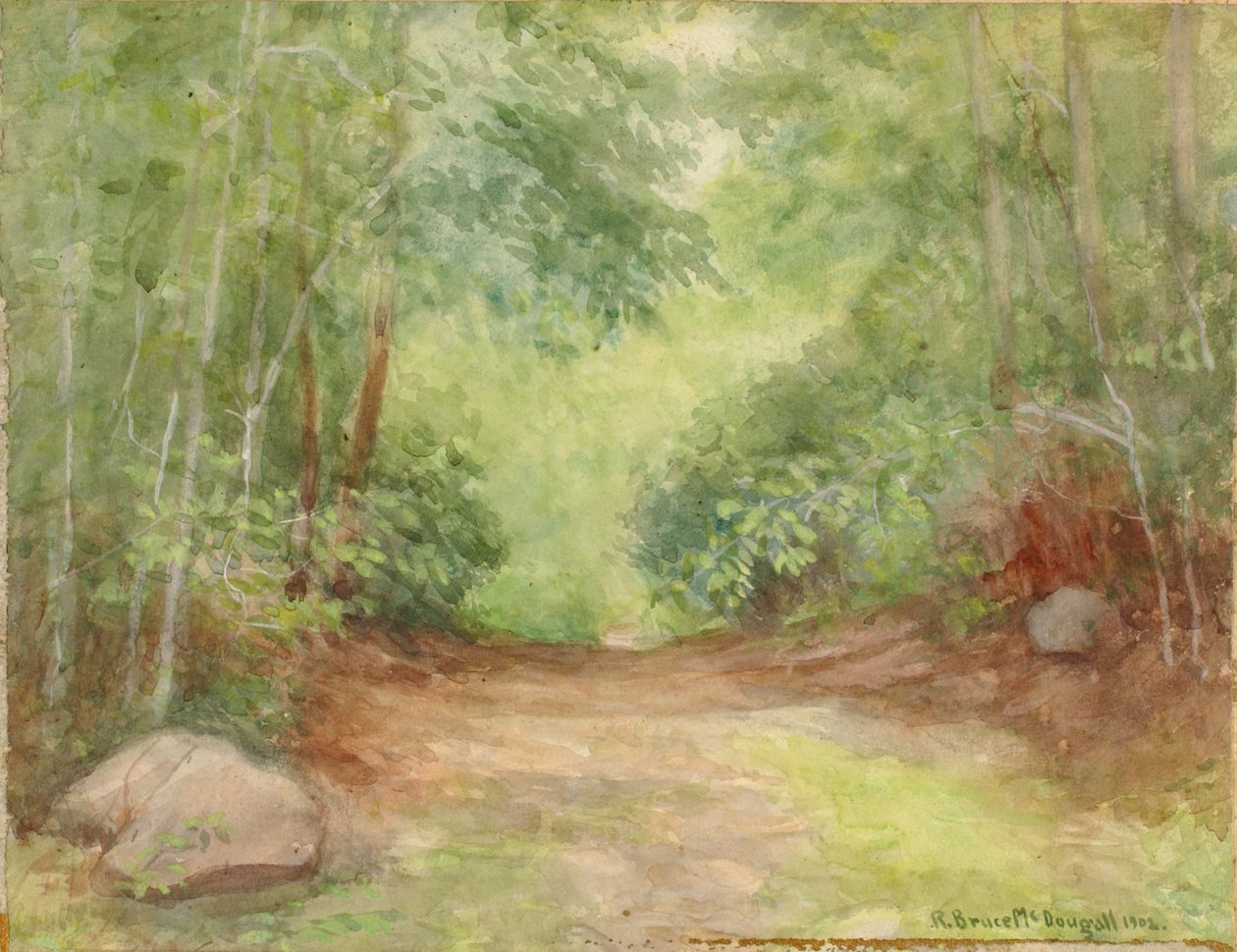 Cena da floresta sem título, 1902. de Robert Bruce McDougall