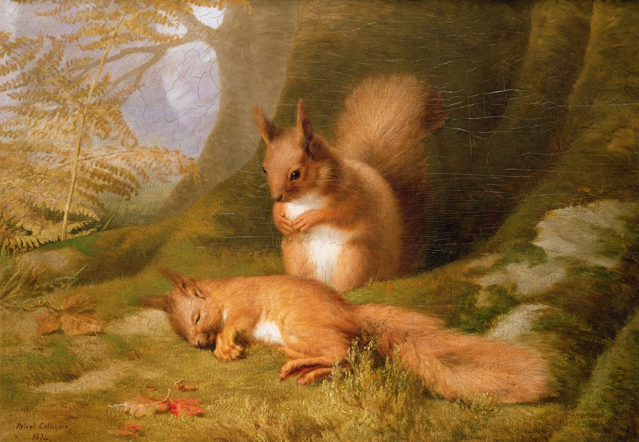 Esquilos em uma madeira, 1874 de Robert Collinson