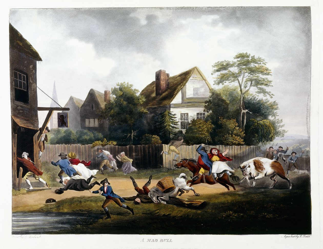 Um touro louco, 1806 de Robert Dodd
