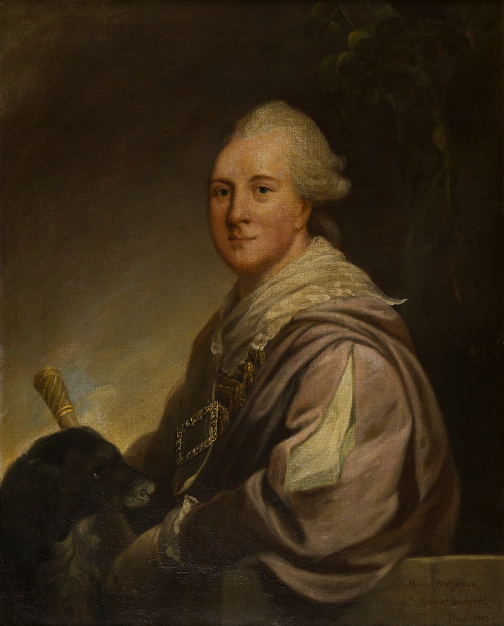 Retrato de Sir Henry Bridgeman, mais tarde o 1º Lord Bradford (1725-1800), c.1745-88 (óleo sobre tela) de Robert Edge Pine