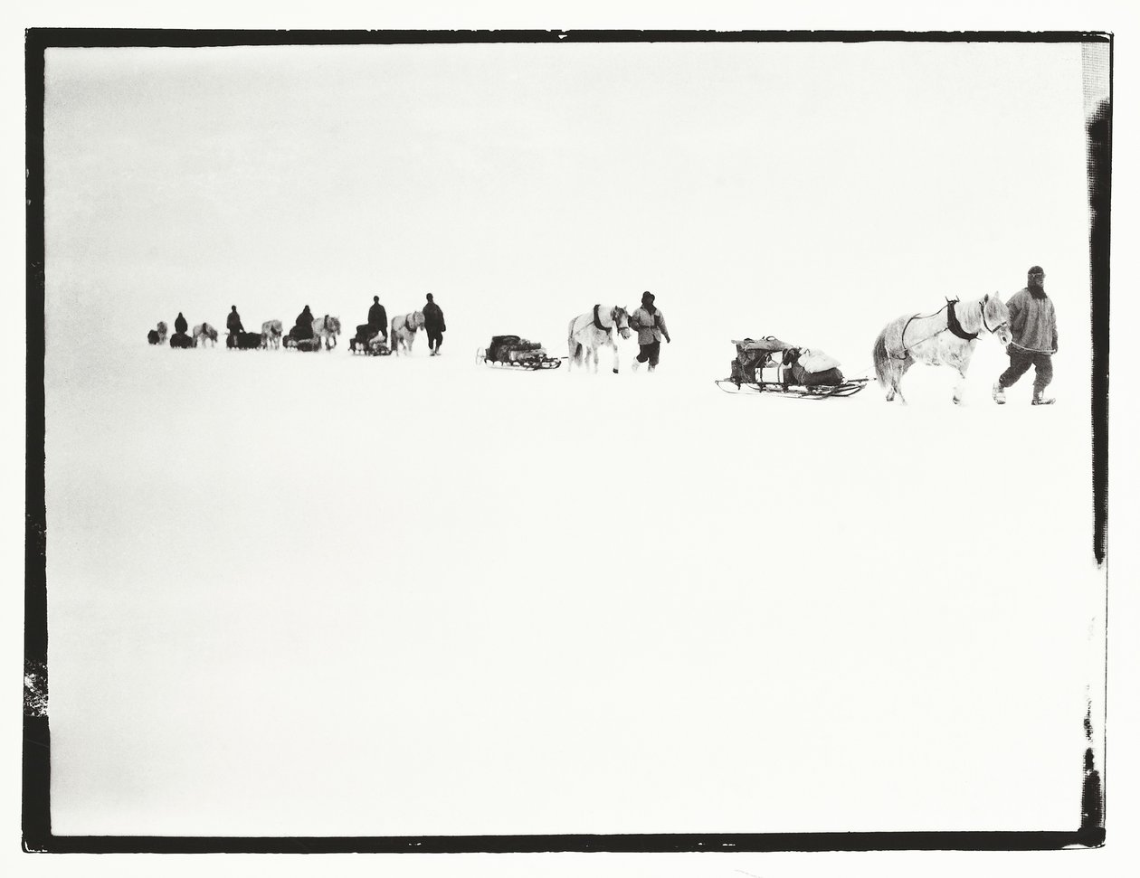 Pôneis em marcha, Grande Barreira de Gelo, 2 de dezembro de Robert Falcon Scott