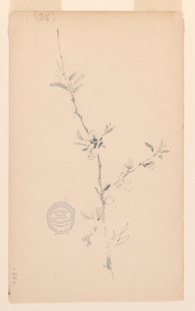 Galho de Robert Frederick Blum