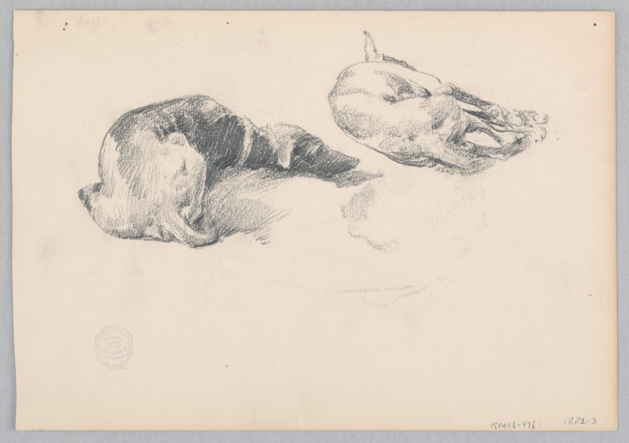 Cadelas de Robert Frederick Blum
