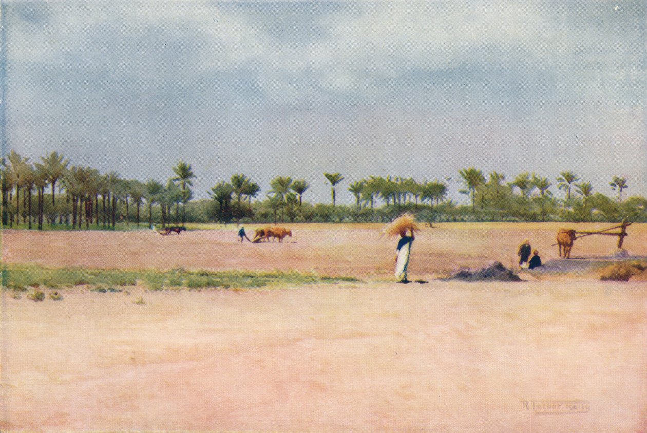 Esbet-El-Ekiad - Terra de Goshen, c1880, 1904 de Robert George Talbot Kelly