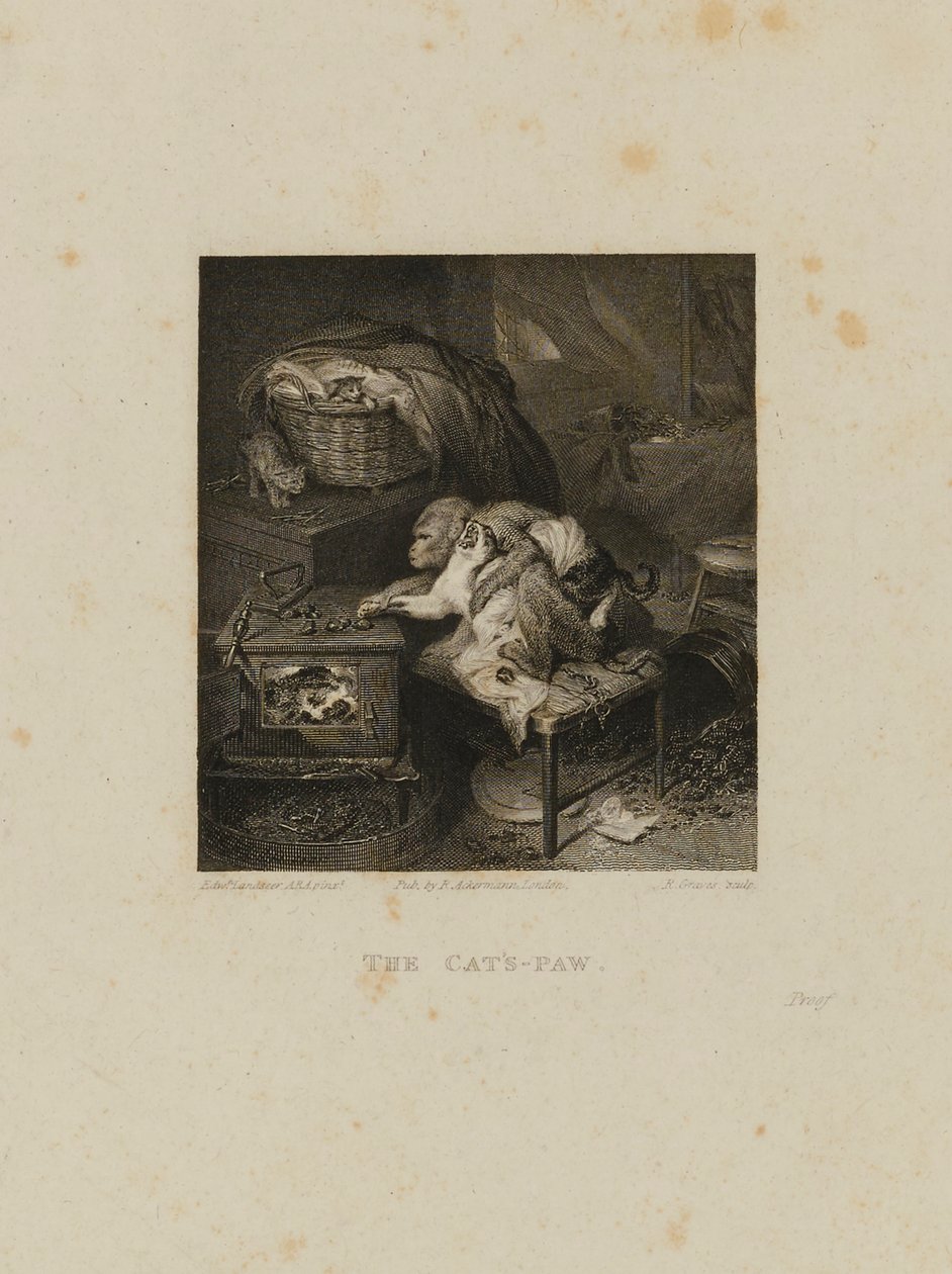 A pata do gato de Robert Graves