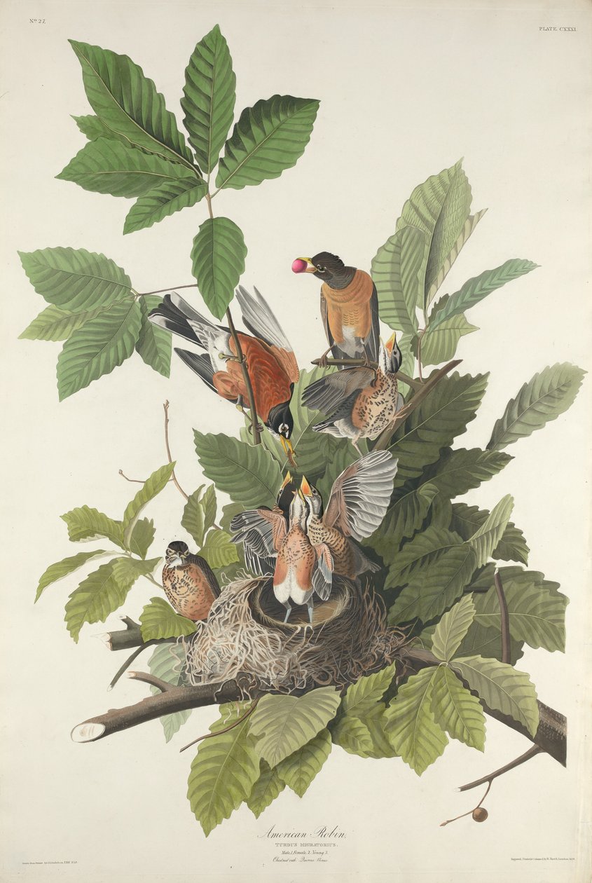 paisagem de Robert Havell
