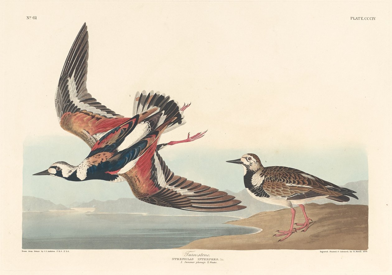 Pedra giratória, 1836. de Robert Havell