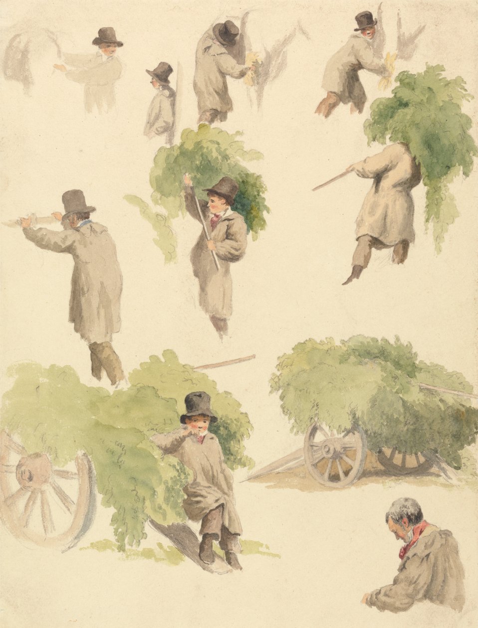 Carting Hops and Other Studies (Lúpulo e outros estudos) de Robert Hills