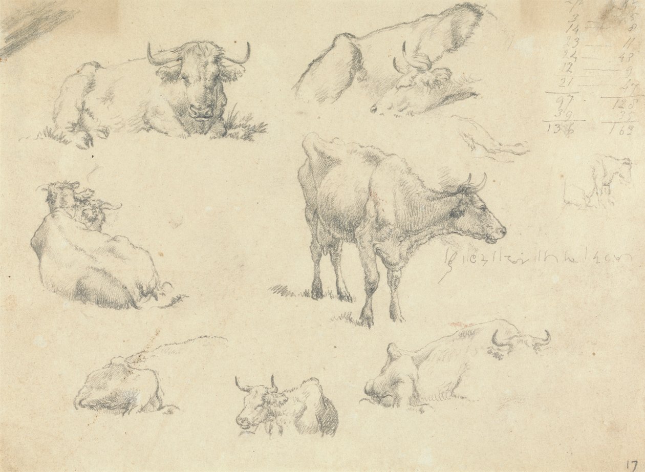 Vacas de vários ângulos de Robert Hills