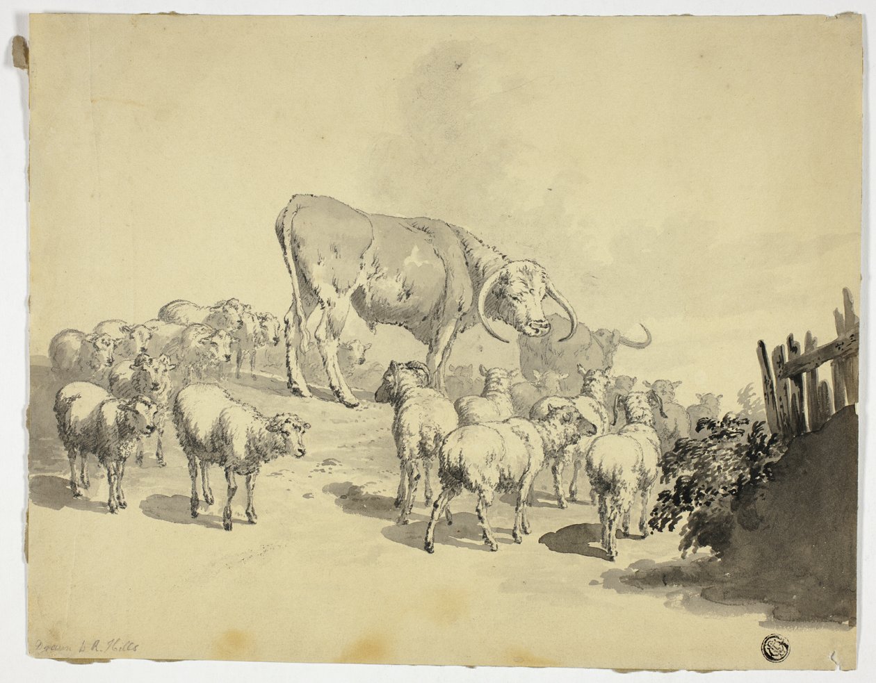 Vacas e ovelhas de Robert Hills