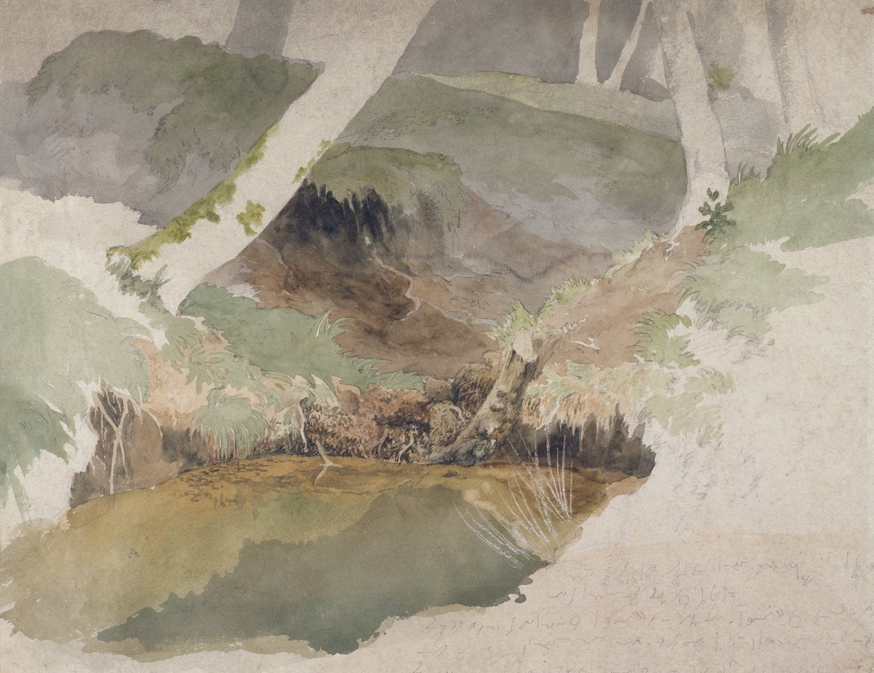 Forest Pool (wc sobre grafite no papel) de Robert Hills