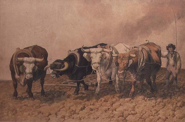 Pungente de Robert Hills
