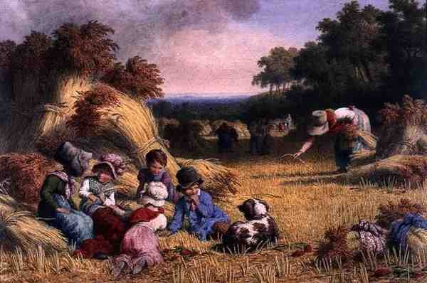 Campo de Colheita de Robert Hills