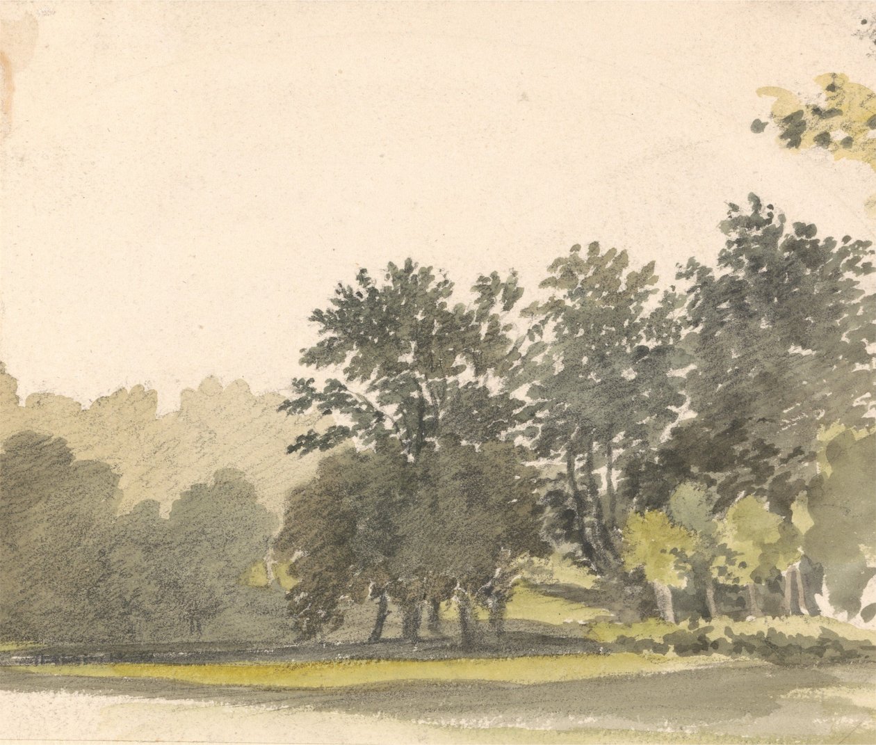 Paisagem com árvores de Robert Hills