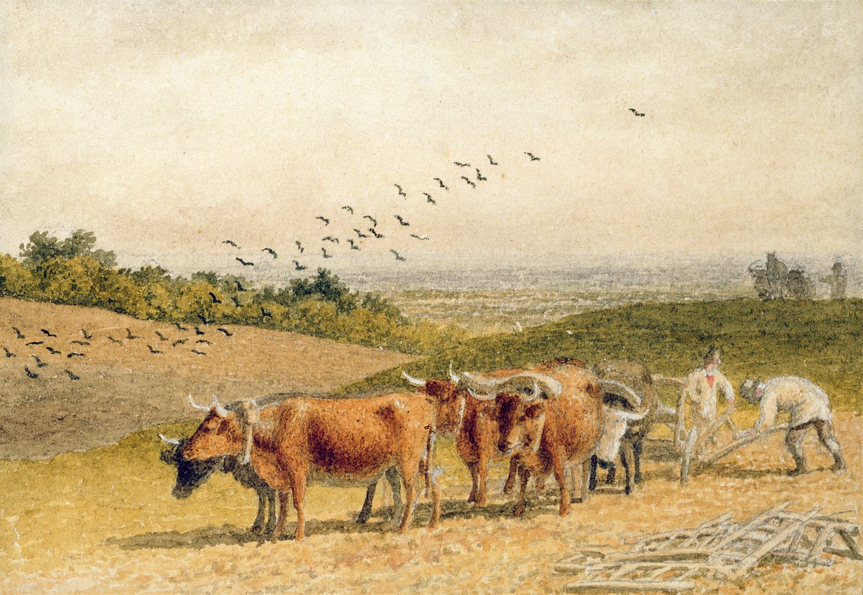 Bois arando um campo de Downland de Robert Hills