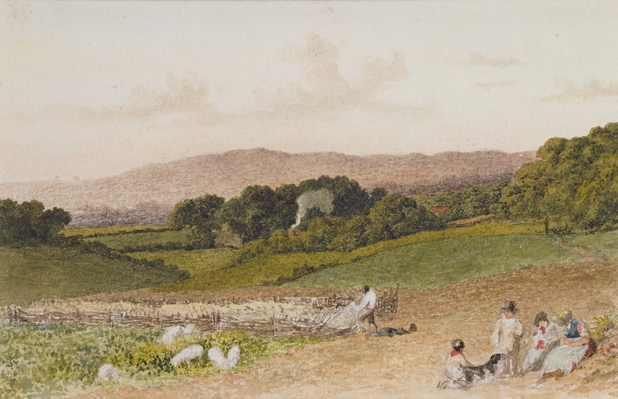 O campo do nabo de Robert Hills