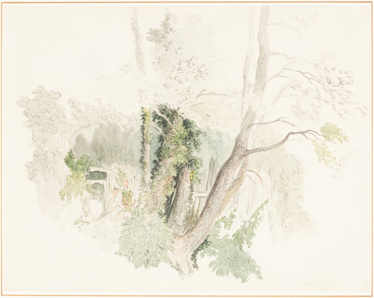 Árvores em Beddington de Robert Hills