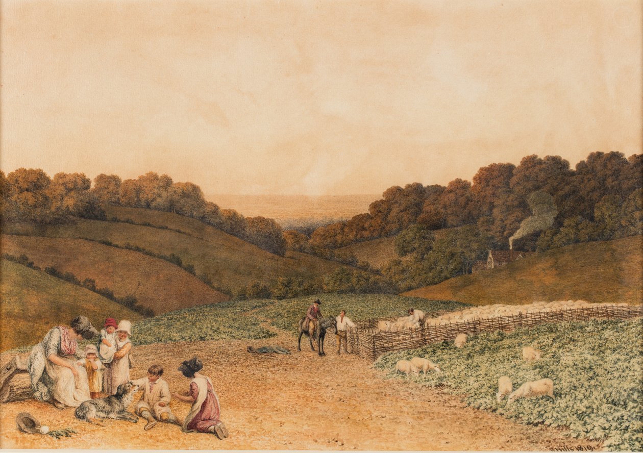 Campo de nabos de Robert Hills