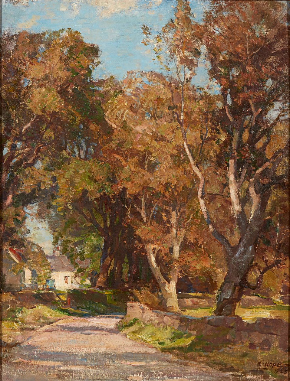 Roadside Near Colvend Manse, Dalbeattie (óleo sobre tela) de Robert Hope