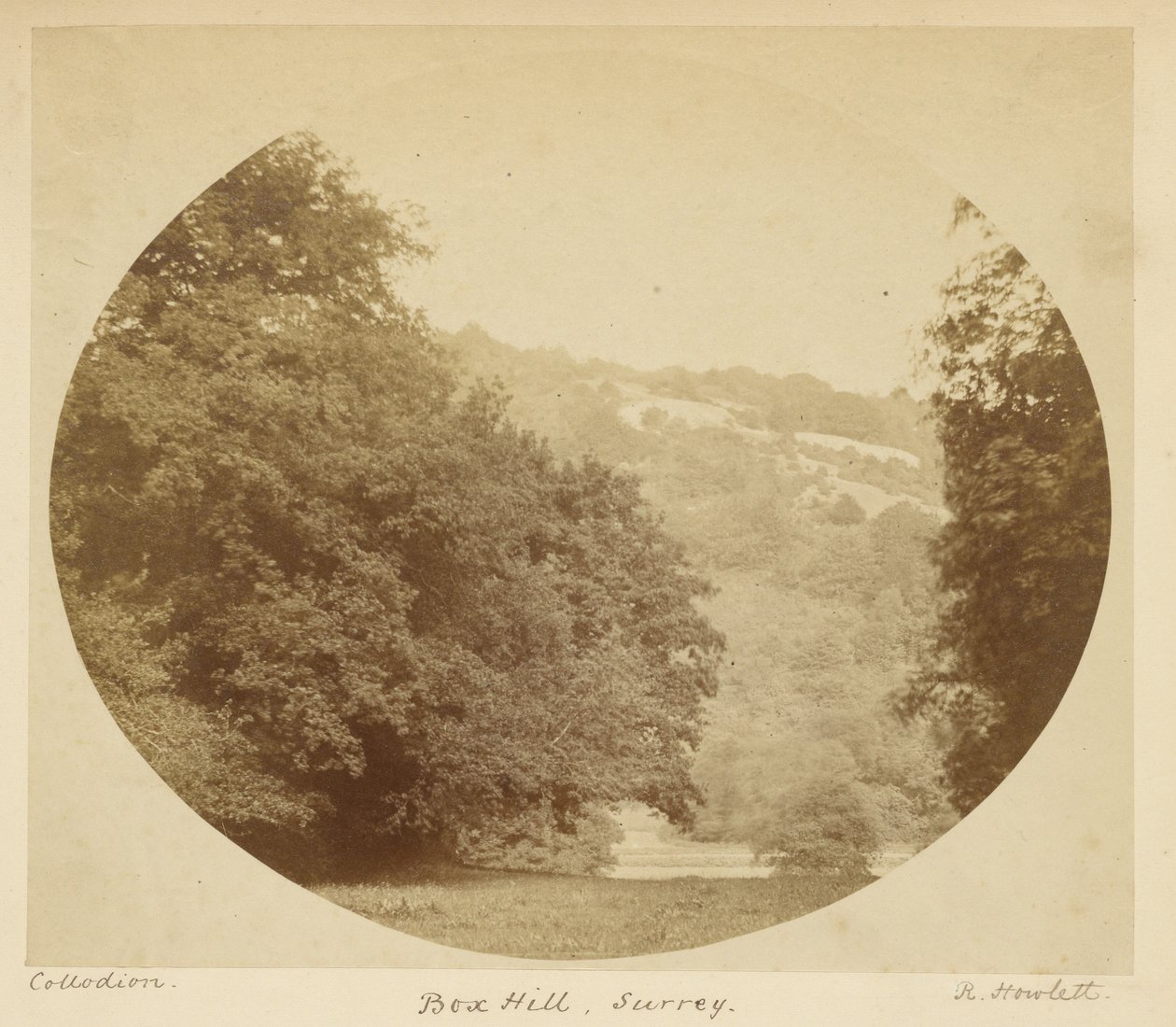 Box Hill, Surrey de Robert Howlett