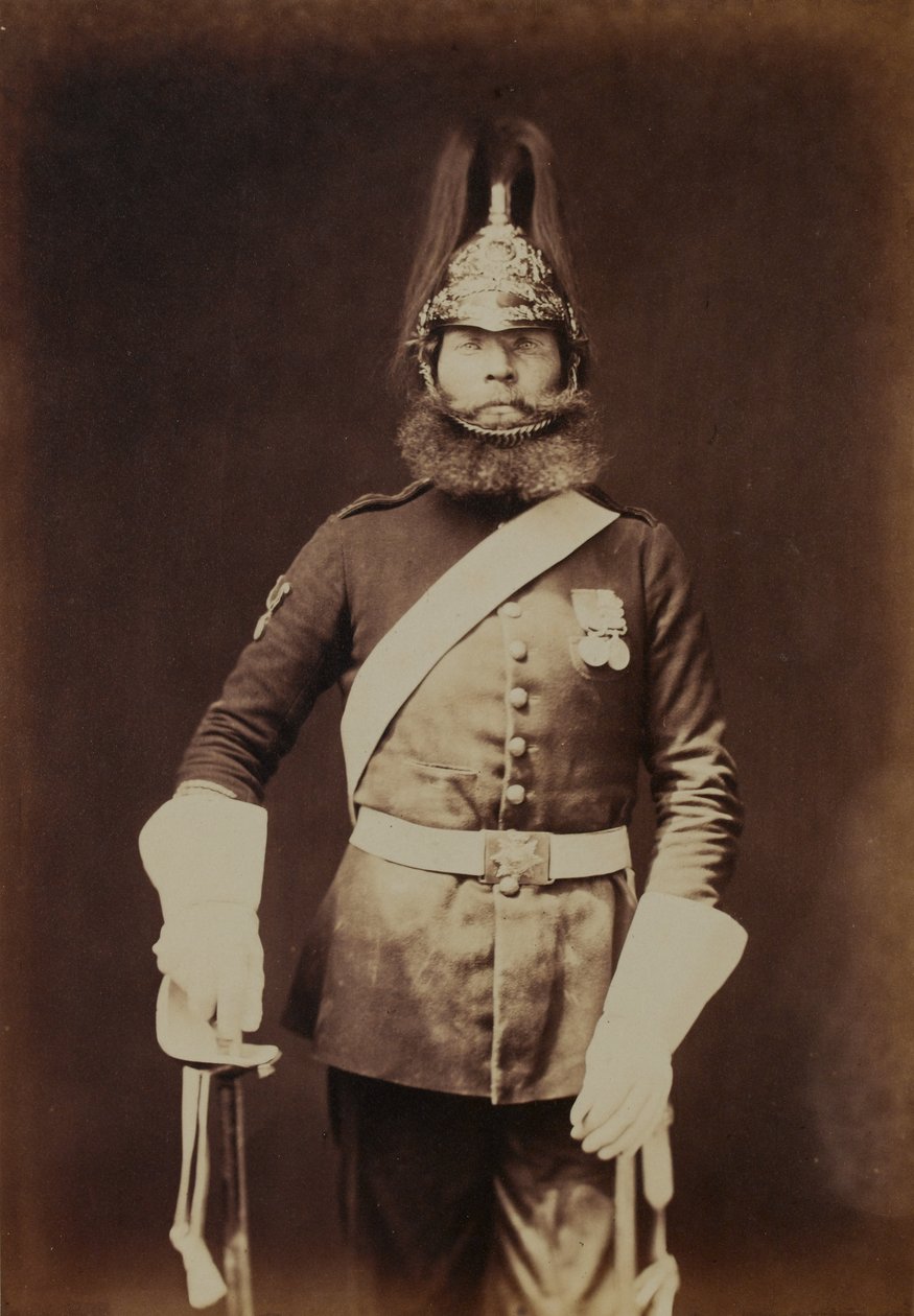 Rough-Rider Macnamara, 5º (Princesa Charlotte do País de Gales) Dragoon Guards de Robert Howlett