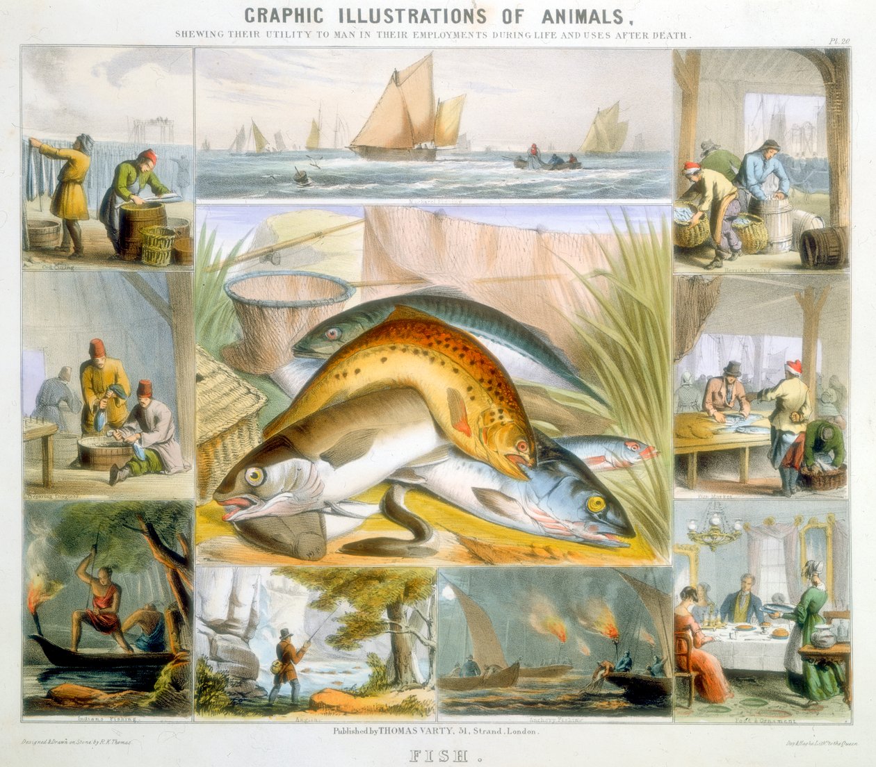 Peixe, c1850 de Robert Kent Thomas