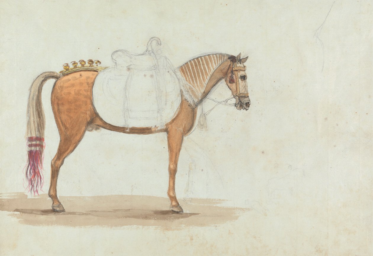 Esboço inacabado de um Cavalo de Sela Elaborada de Robert Mabon