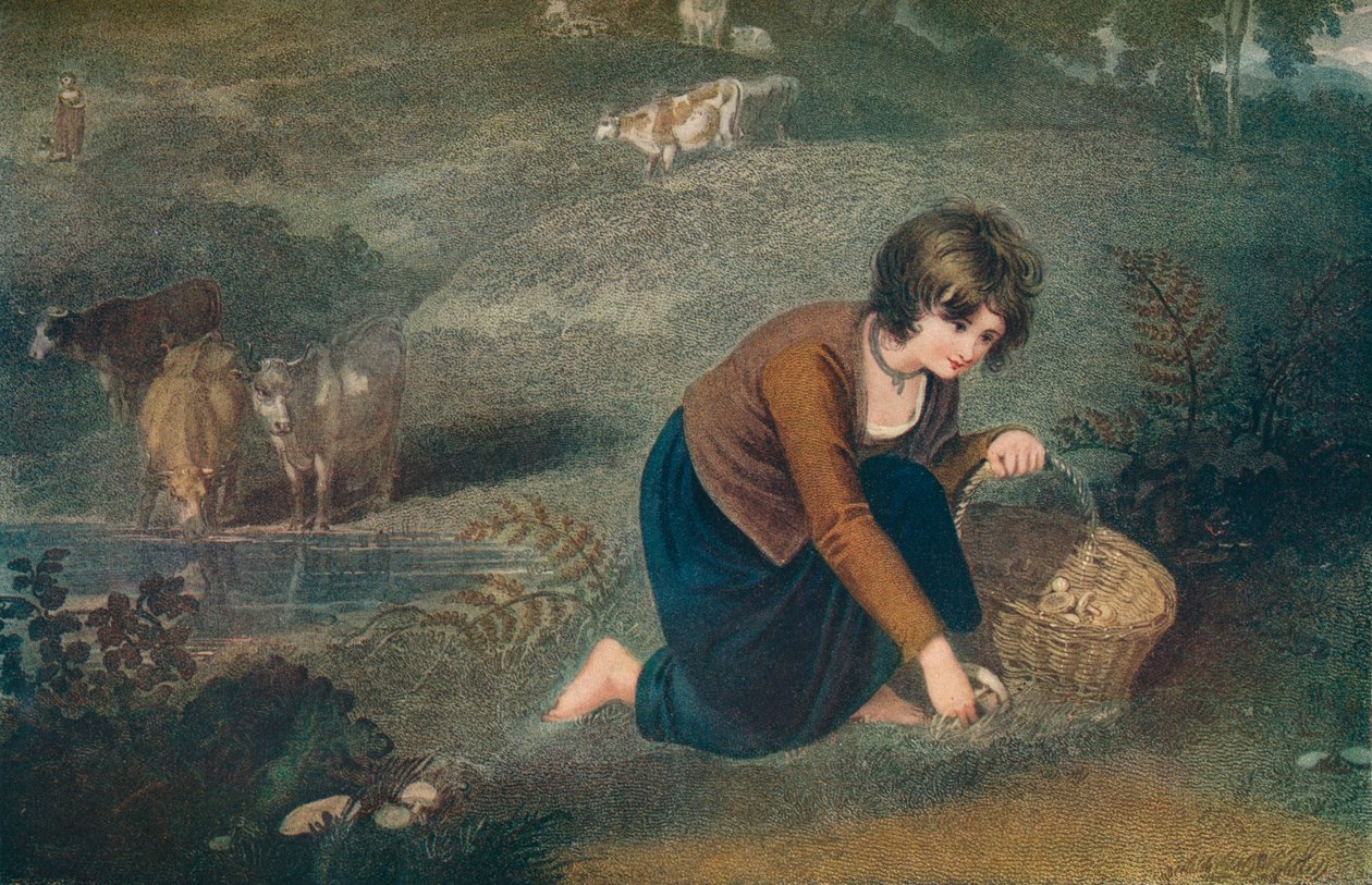 Uma garota colhendo cogumelos, 1800, 1917 de Robert Mitchell Meadows