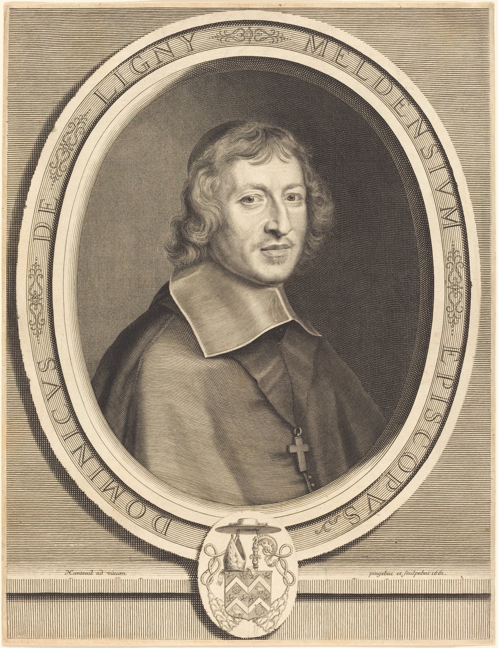 Dominique de Ligny de Robert Nanteuil