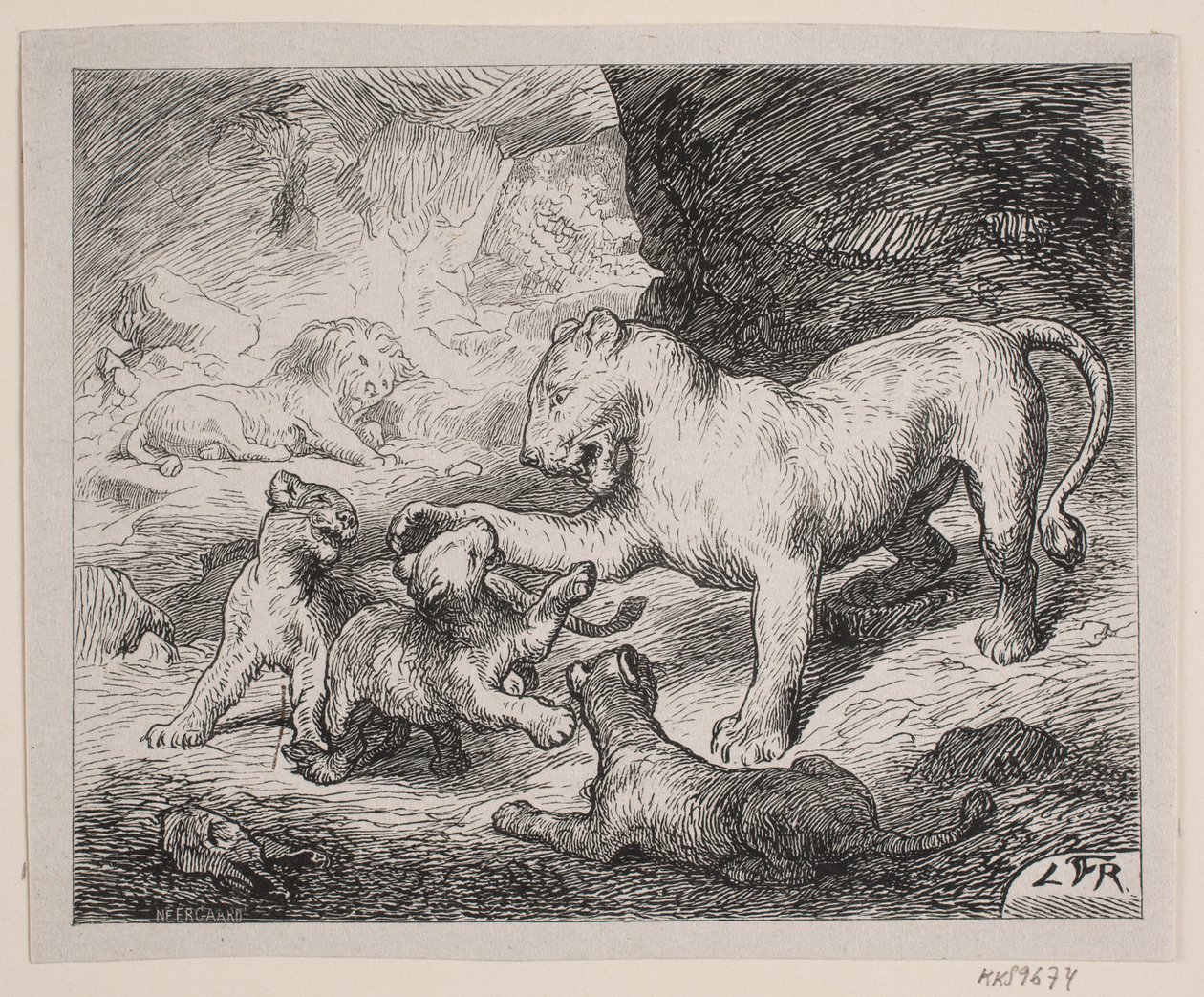 Os filhotes de leão. Ilustração para Chr. "Livro de imagens para grandes e pequenos" de Winther de Robert Neergaard