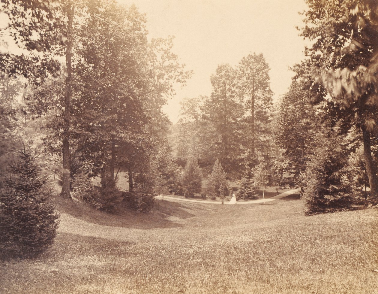 Clarence Howard Clark Estate, do portfolio "Views at Chestnutwold" (Vistas de Chestnutwold) de Robert Newell