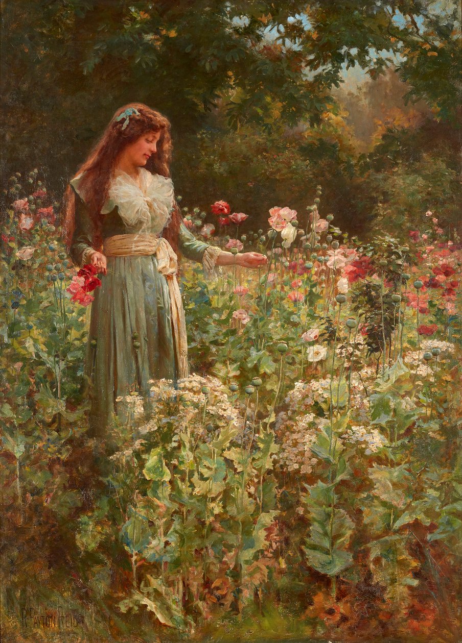 Coletando Papoilas (óleo sobre tela) de Robert Payton Reid