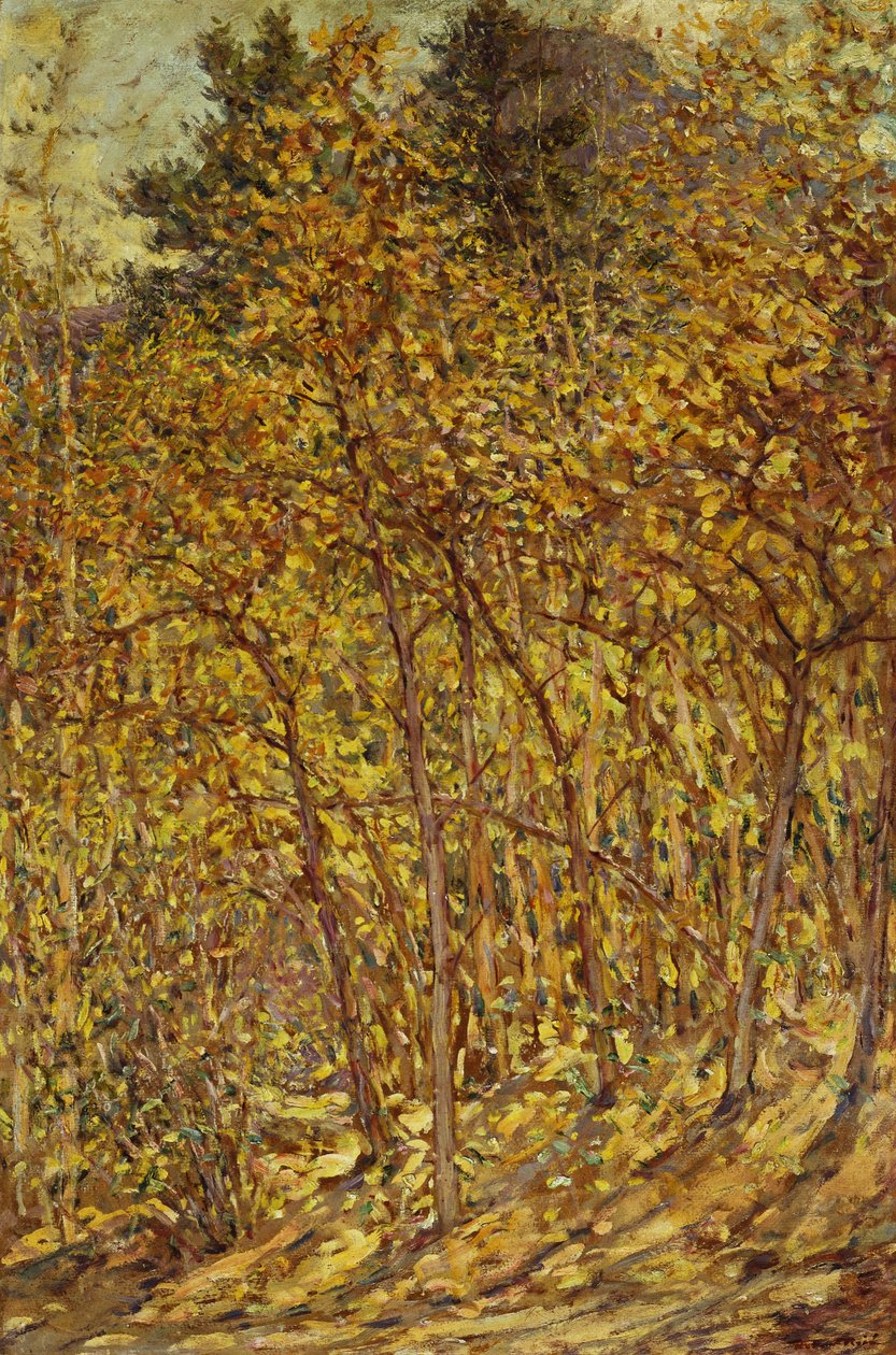 Luz solar de outono de Robert Reid
