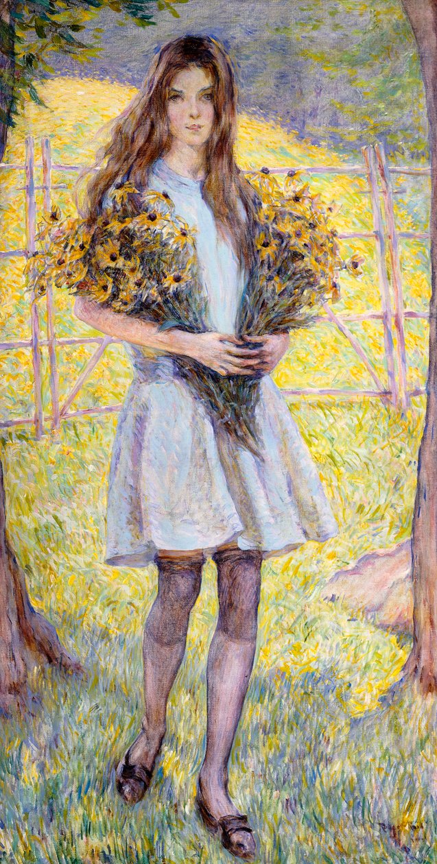 Susans de olhos pretos de Robert Reid