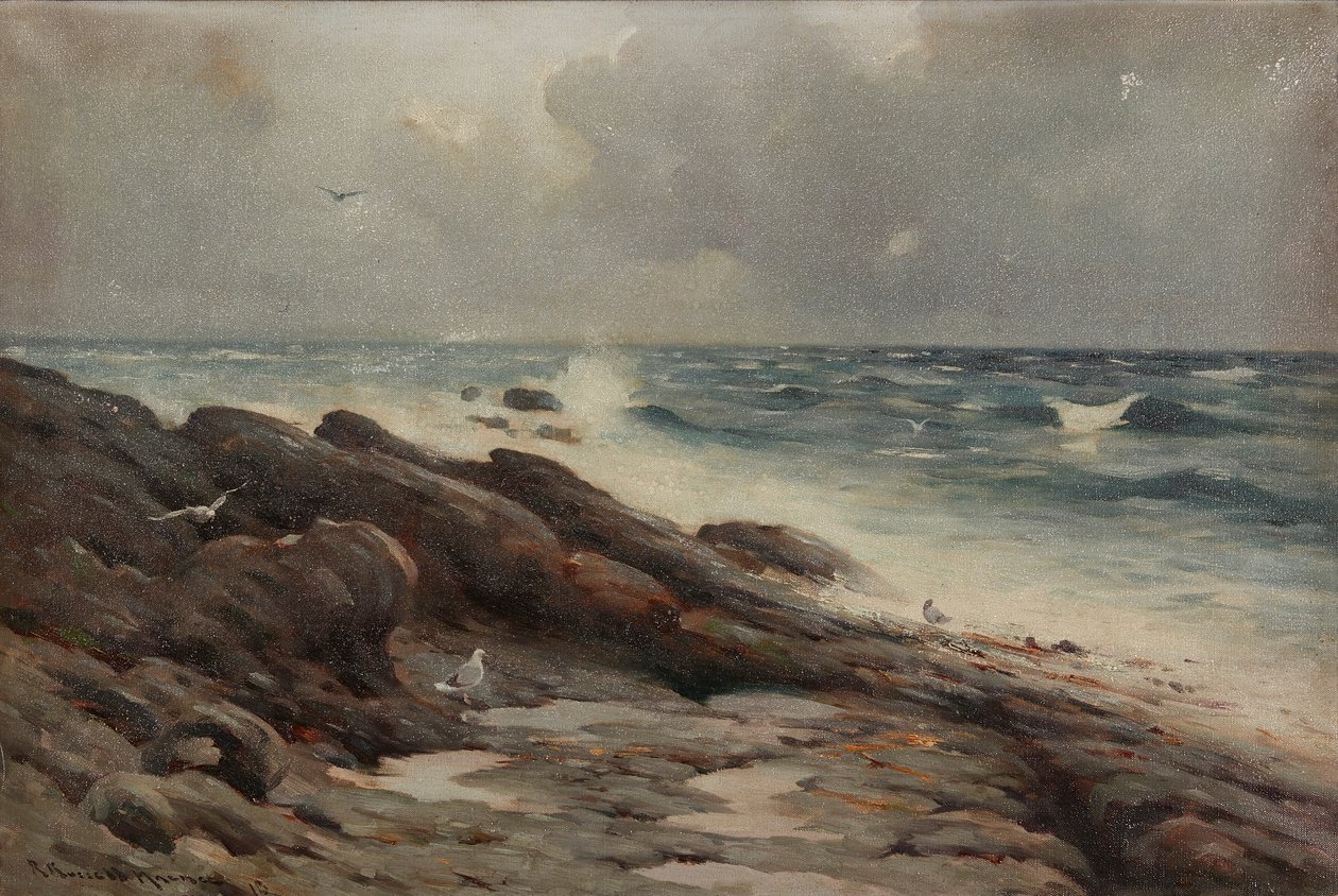 Rocky Coastline ( óleo sobre tela) de Robert Russell MacNee