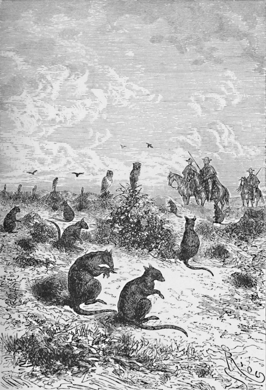 Bizcachas, c1885, 1890 de Robert Taylor Pritchett