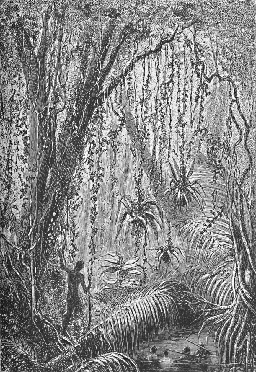 Floresta Brasileira, c1885 1890 de Robert Taylor Pritchett
