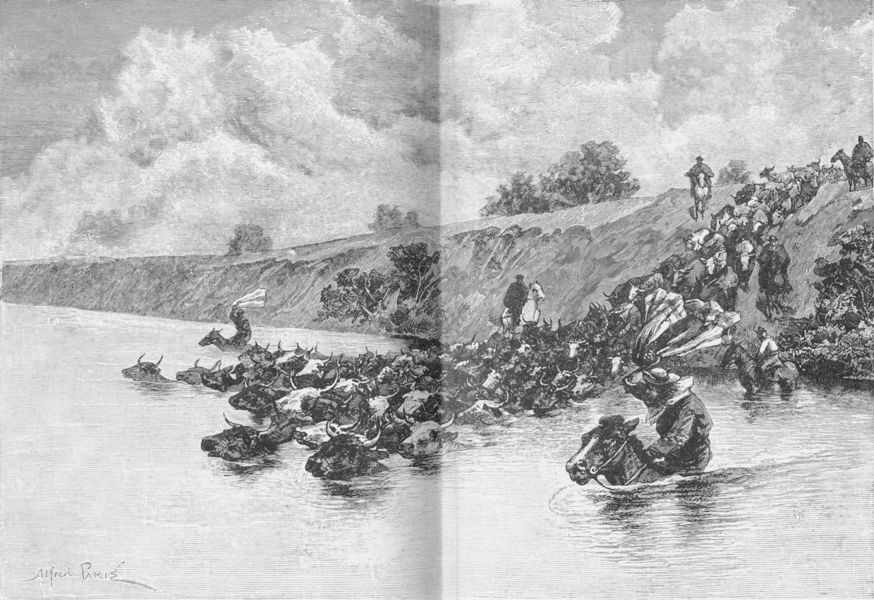 Rebanho de gado atravessando o Uruguai, c1885, 1890 de Robert Taylor Pritchett