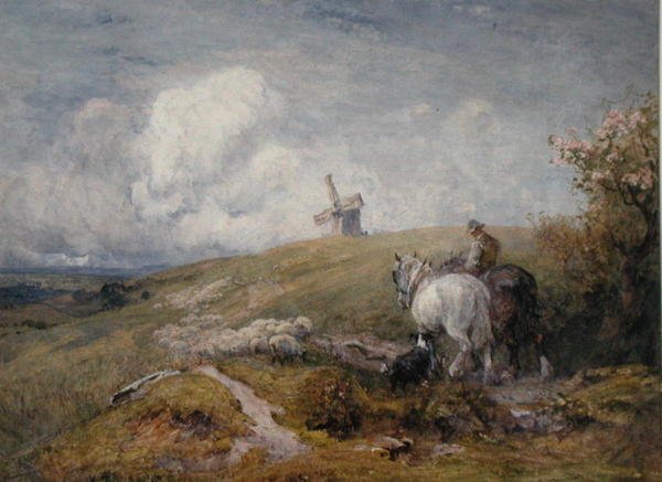 Conduzindo Ovelhas em South Downs (aguarela sobre papel) de Robert Thorne Waite