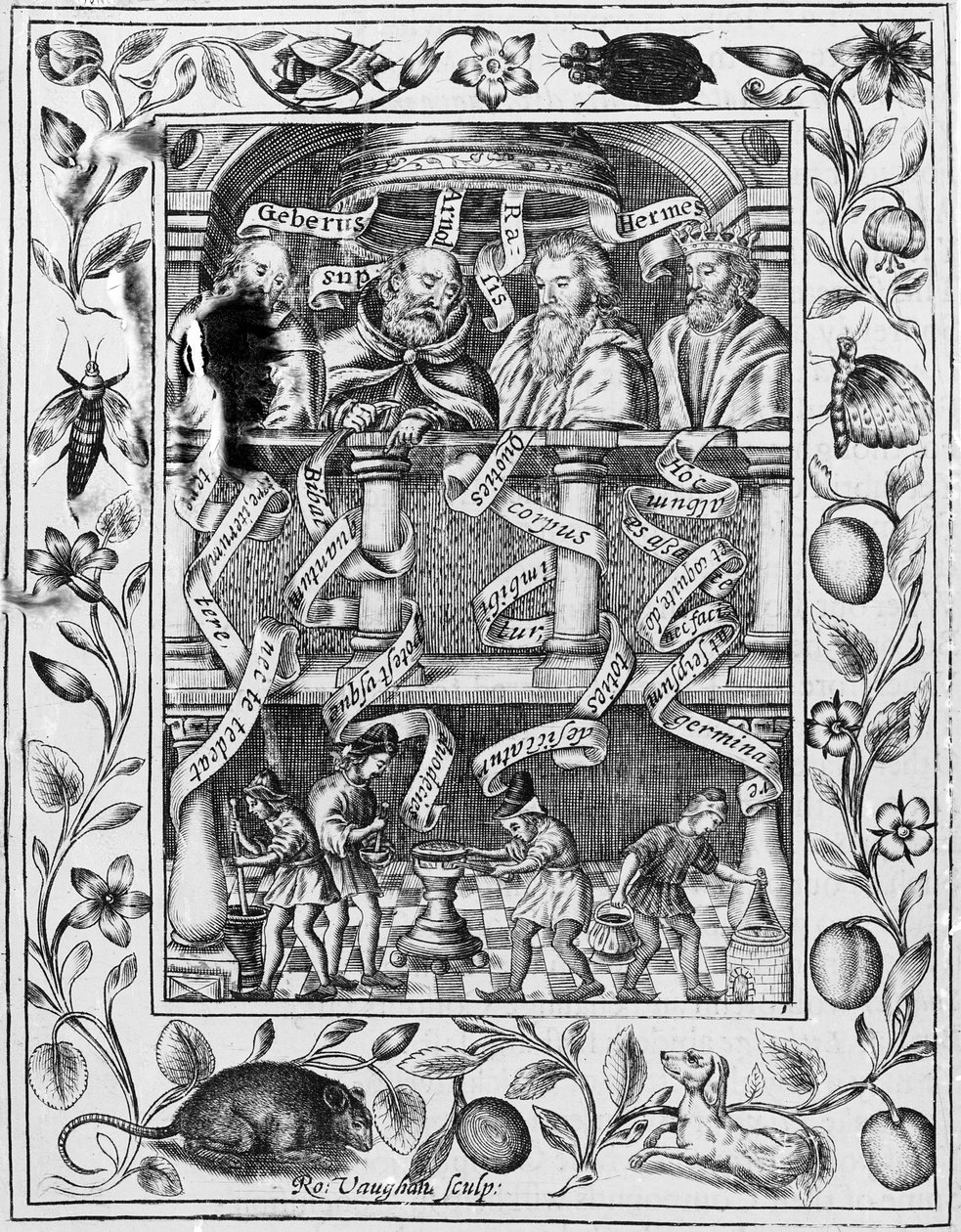 Grandes alquimistas inspiram trabalho no laboratório da Theatrum Chemicum Britannicum, 1652 de Robert Vaughan