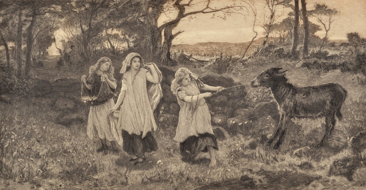 Três raparigas e um burro de Robert Walker Macbeth