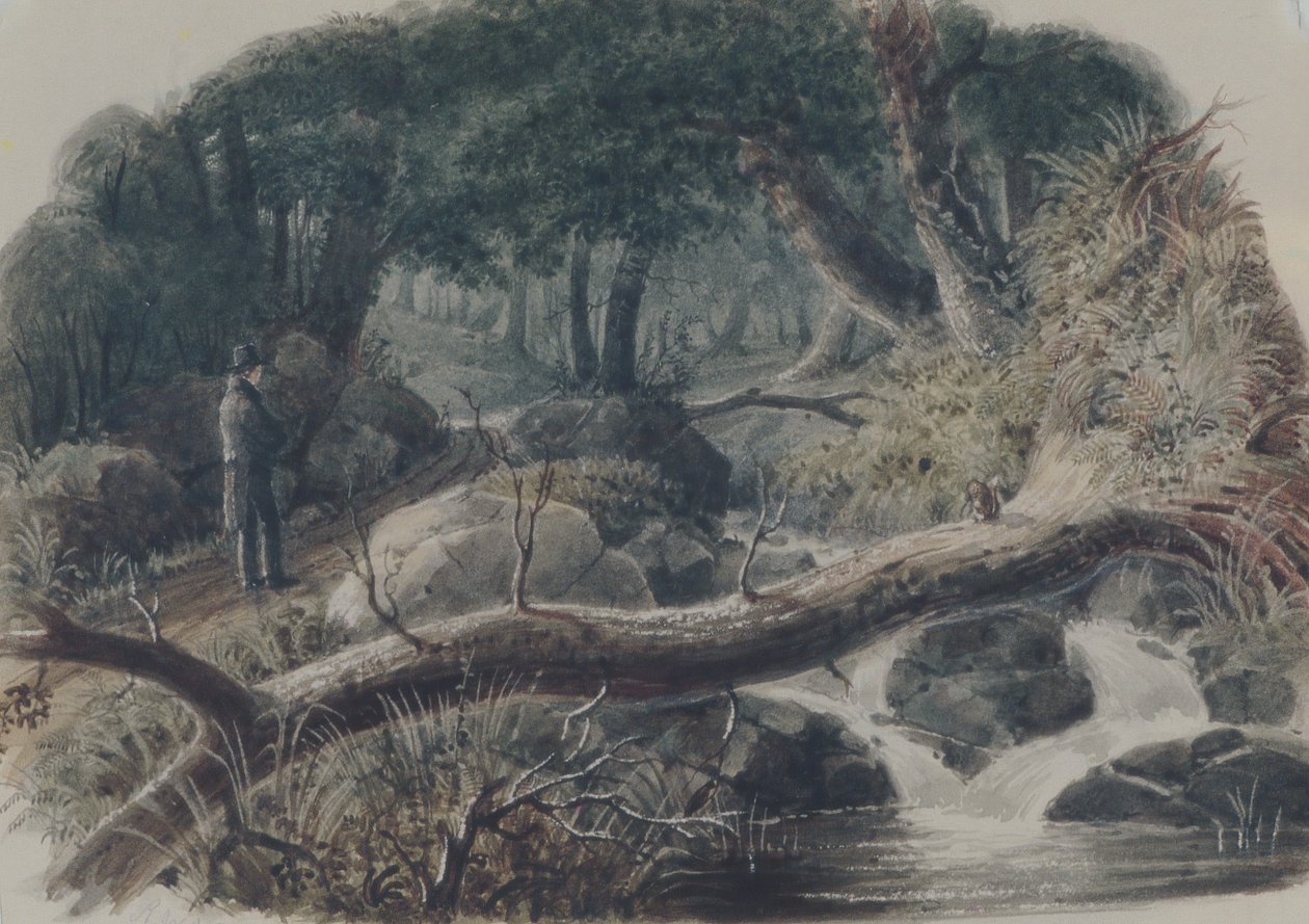 A entrada para um bosque, 1836. de Robert Walter Weir