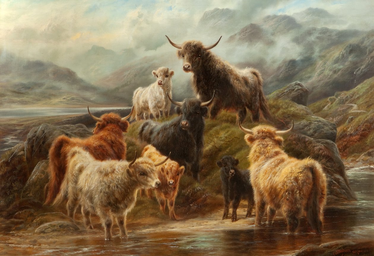 Gado das terras altas, 1894 de Robert Watson