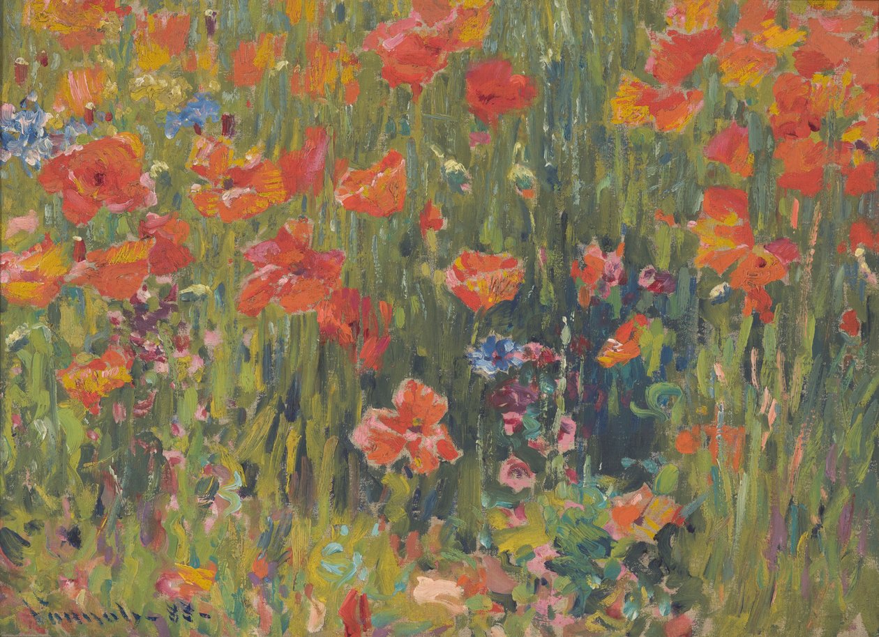 Papoilas de Robert William Vonnoh
