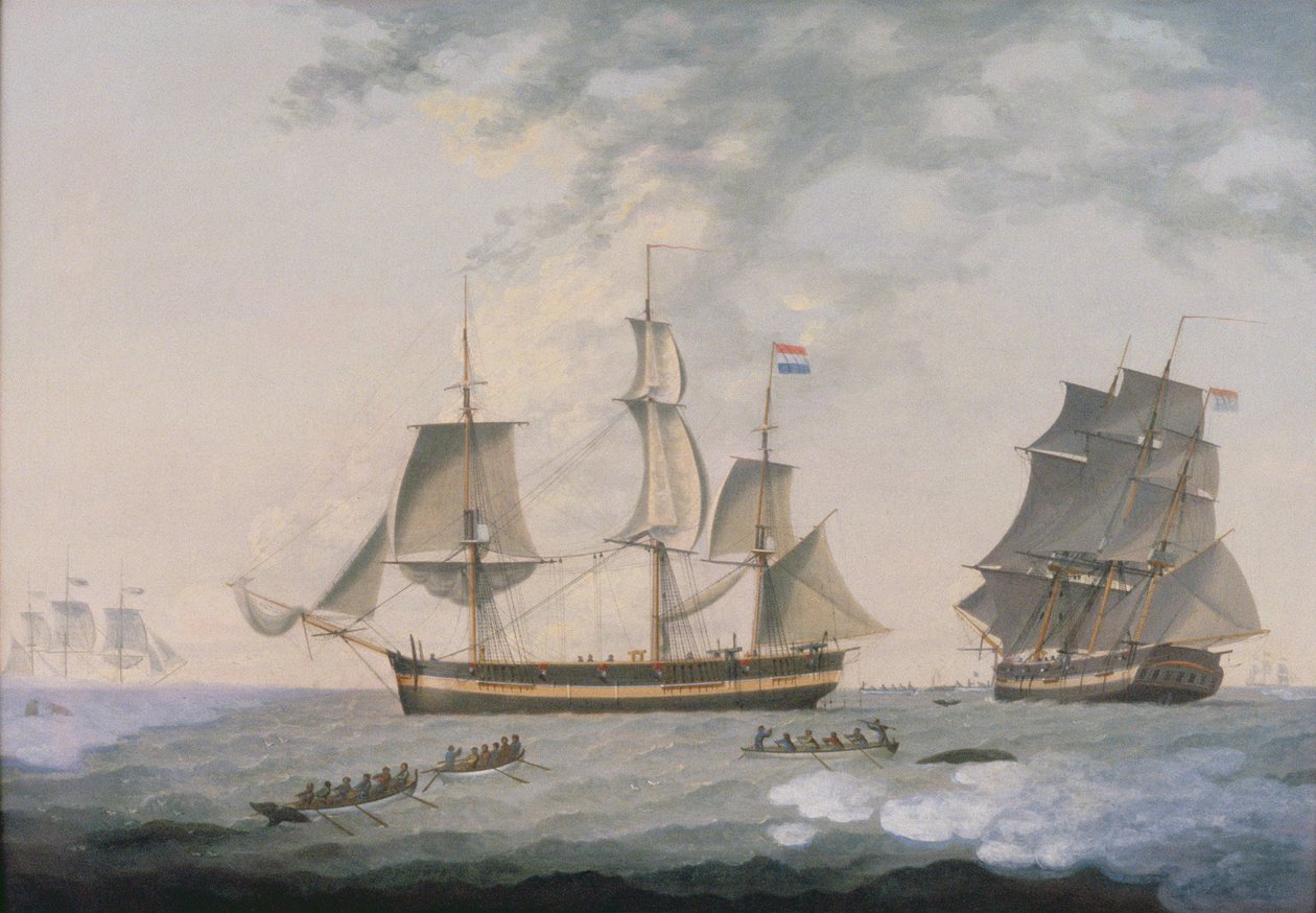 Caça à baleia no Ártico de Robert Willoughby