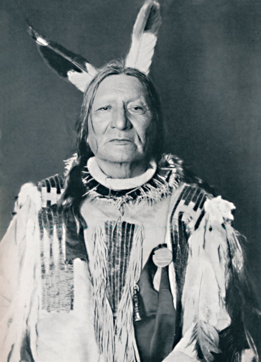 Chefe Sioux, 1912 de Robert Wilson Shufeldt
