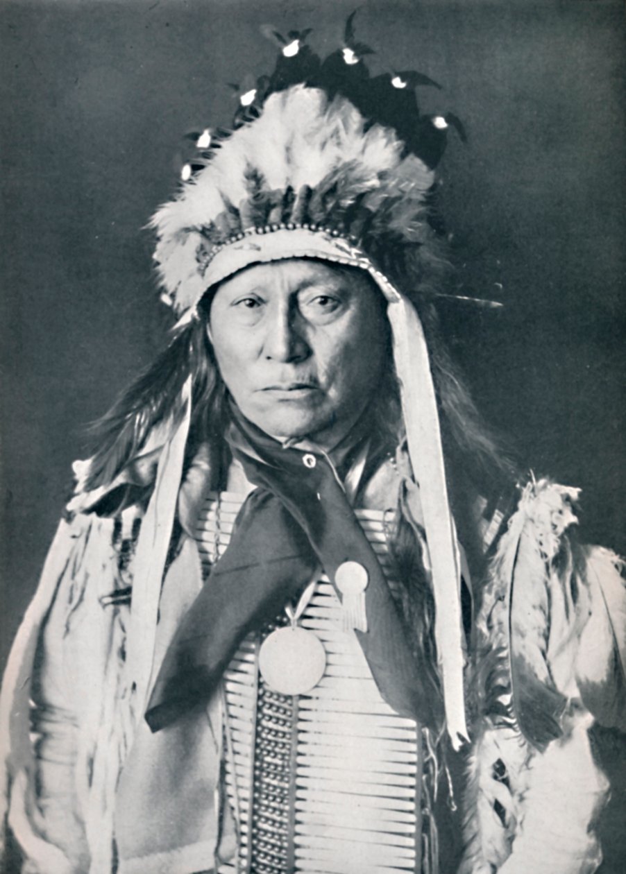 Um chefe Sioux em sua pintura de guerra, 1912 de Robert Wilson Shufeldt