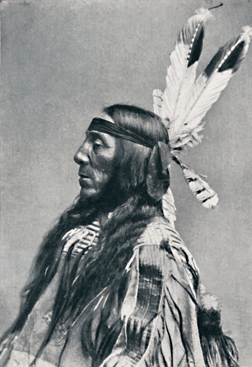 Vista de perfil de um Sioux, 1912 de Robert Wilson Shufeldt